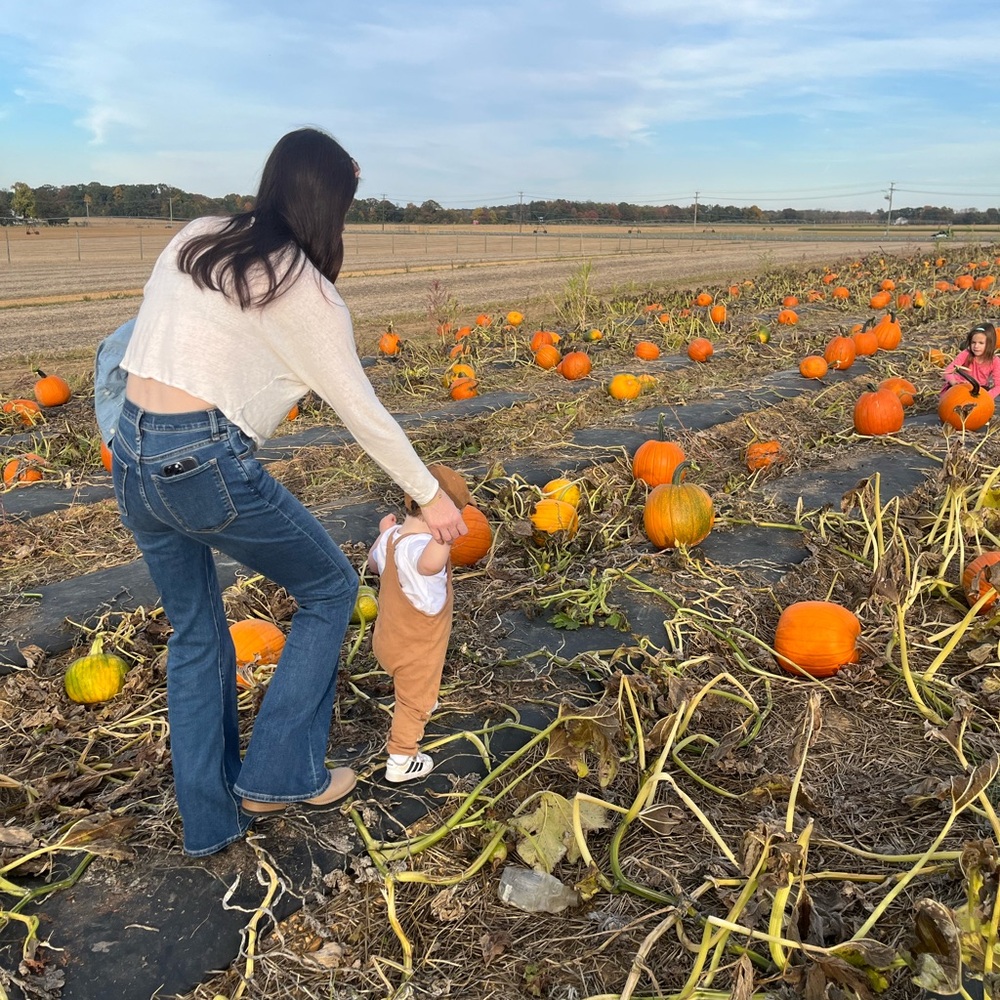 Meet your Posher, Liz